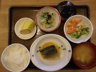 今日のお昼ご飯は、鯖のカレー煮、温野菜、白菜の和風コールスロー、味噌汁、果物でした。