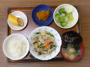 今日のお昼ごはんは、豚肉ともやしのチャンプルー、煮物、和え物、みそ汁、果物でした。